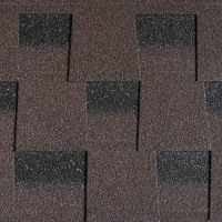 Sim Shingle